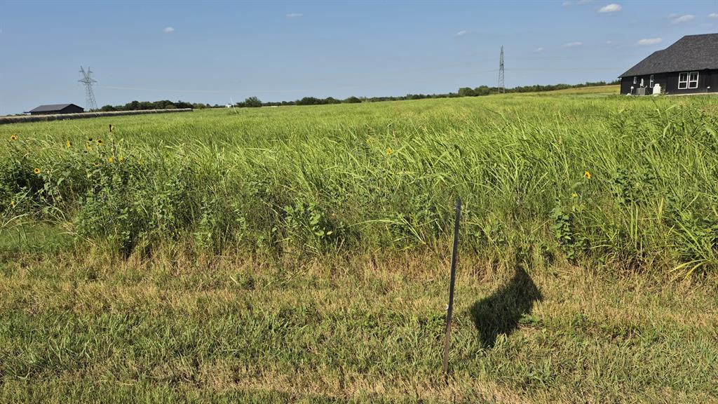 H.G ALEXANDER - Land