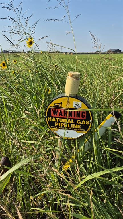 H.G ALEXANDER - Land