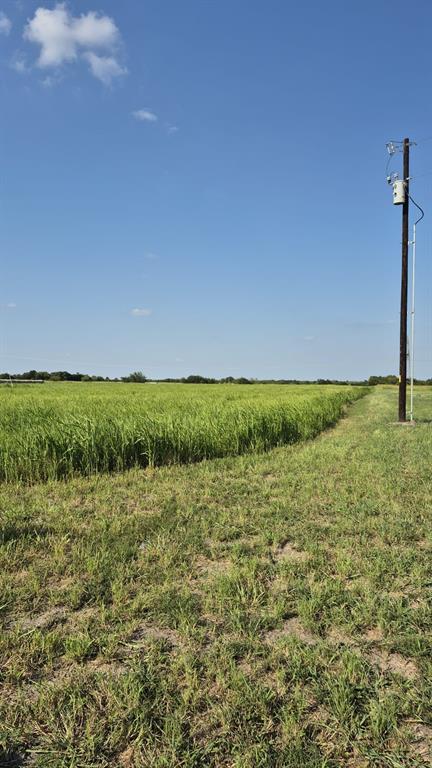 H.G ALEXANDER - Land