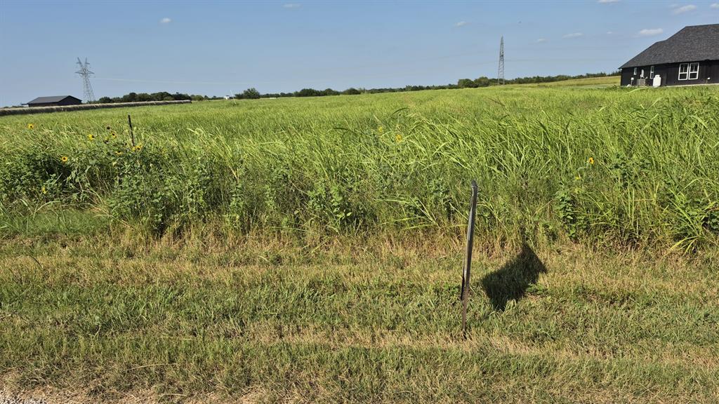 H.G ALEXANDER - Land