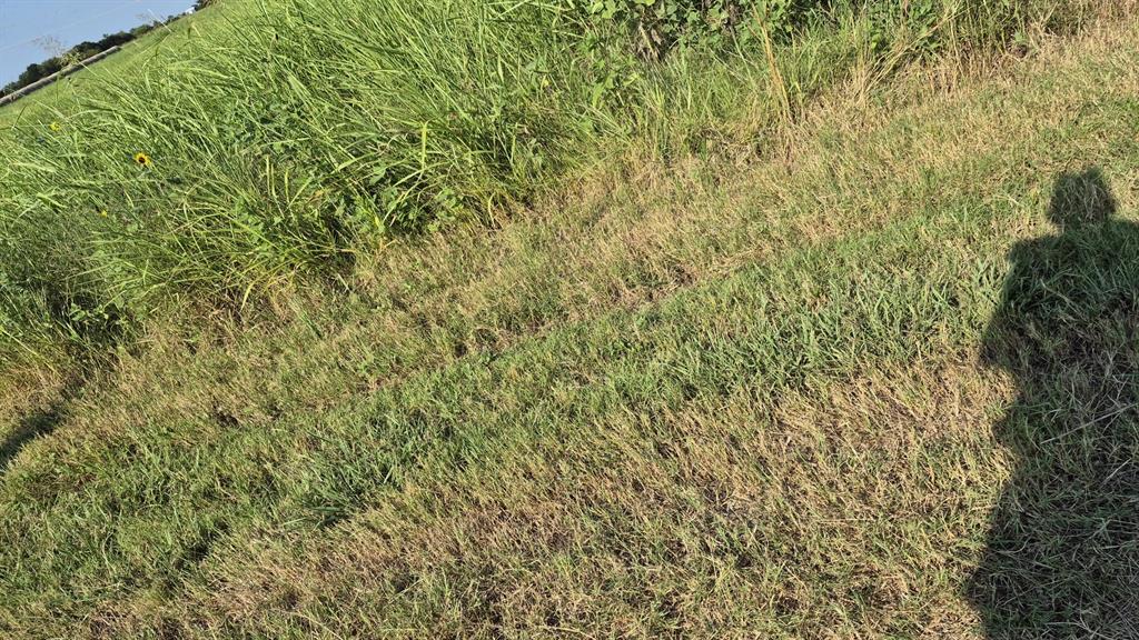 H.G ALEXANDER - Land