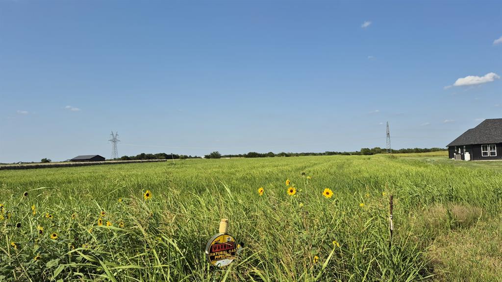 H.G ALEXANDER - Land