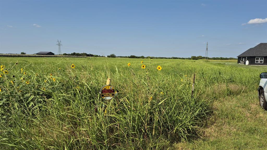 H.G ALEXANDER - Land