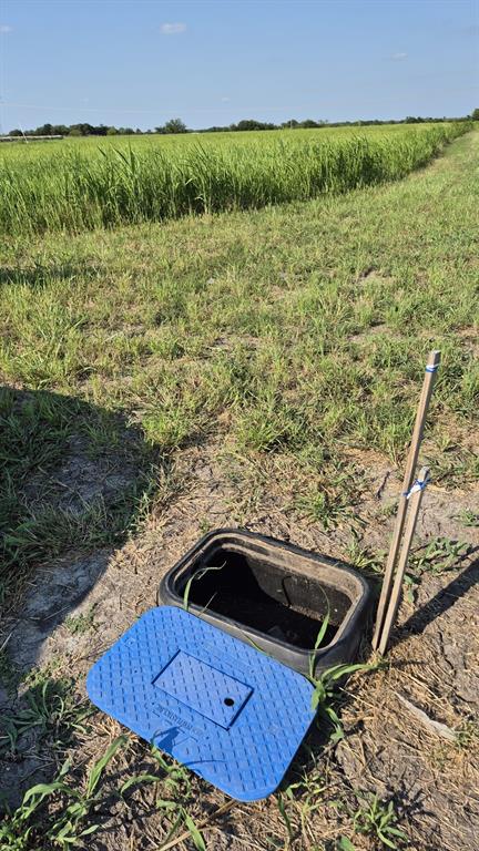 H.G ALEXANDER - Land