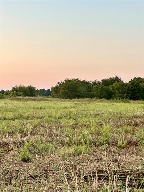 TBD County Road 2174