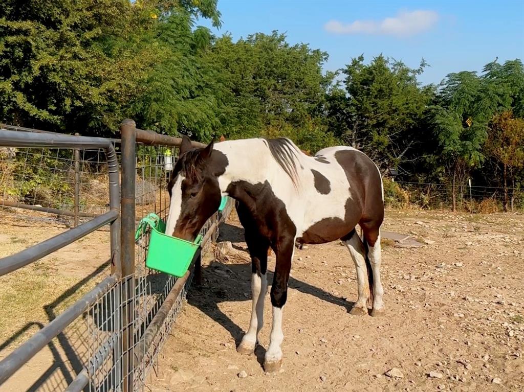 Brazos Ridge Estates II - Residential