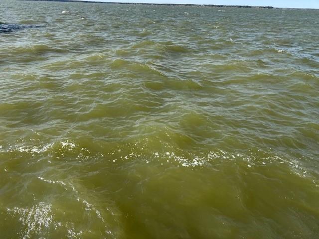 Admiral Shores Richland Chambe - Land