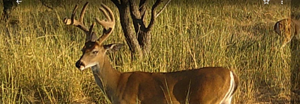 14 Acres E FM 765