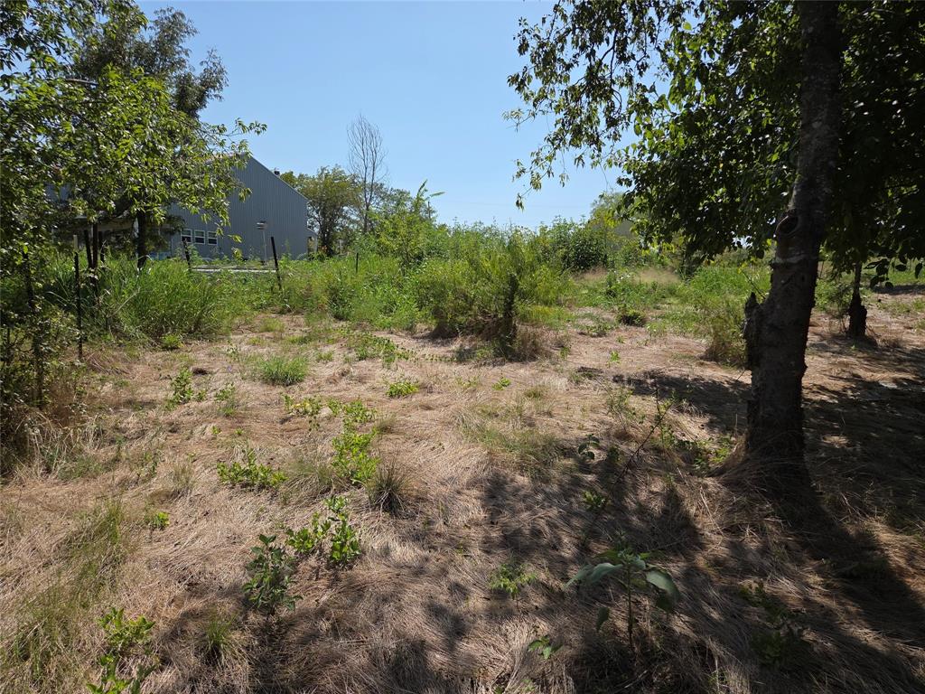 Retreat Ranchettes II - Land