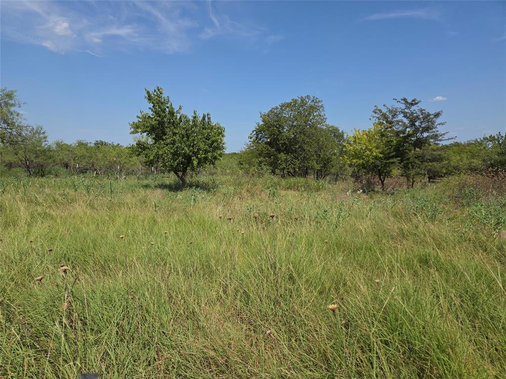 Retreat Ranchettes II - Land