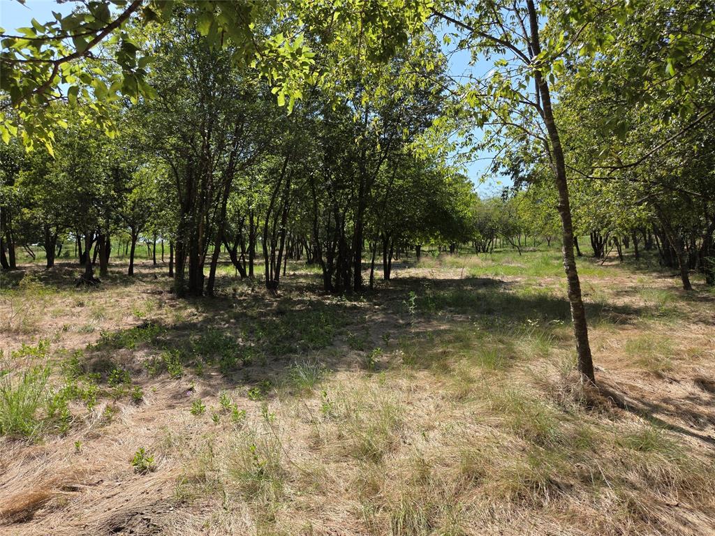 Retreat Ranchettes II - Land