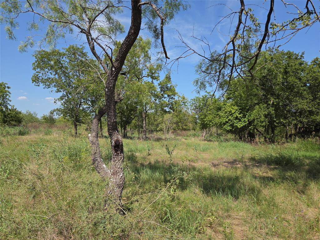 Retreat Ranchettes II - Land