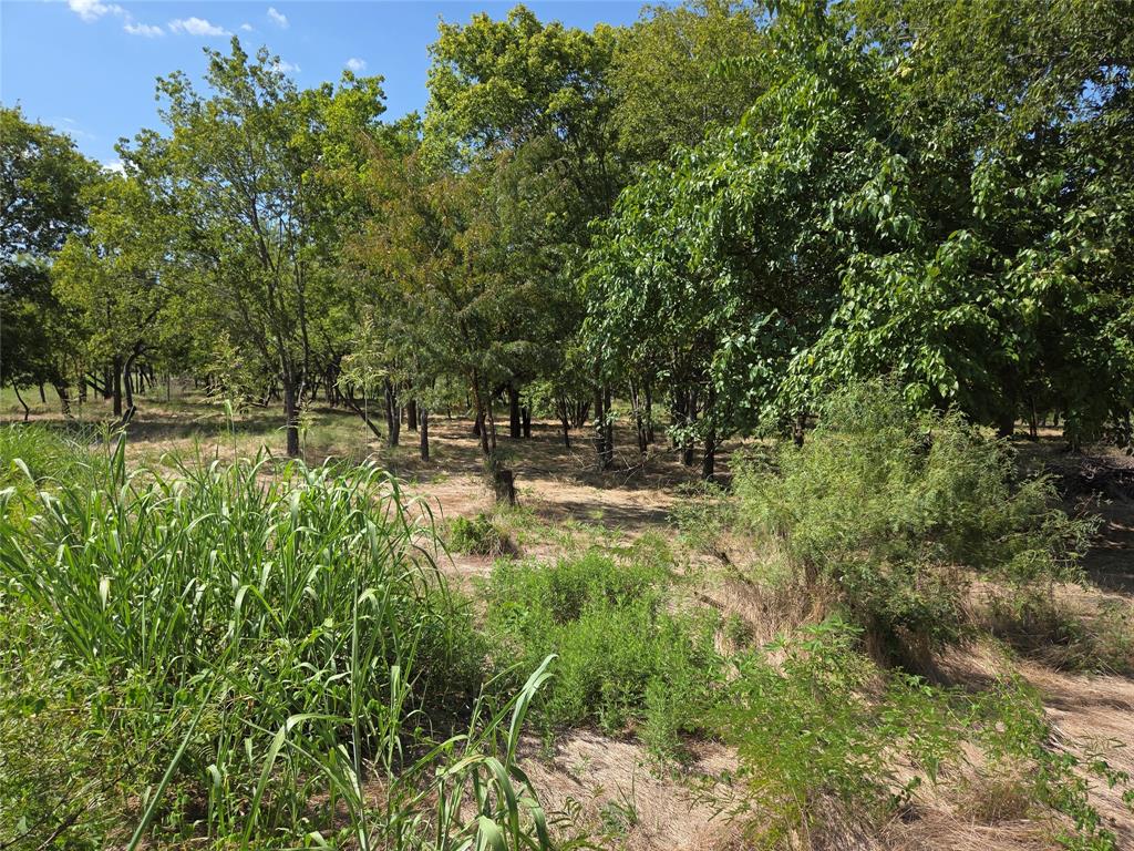 Retreat Ranchettes II - Land