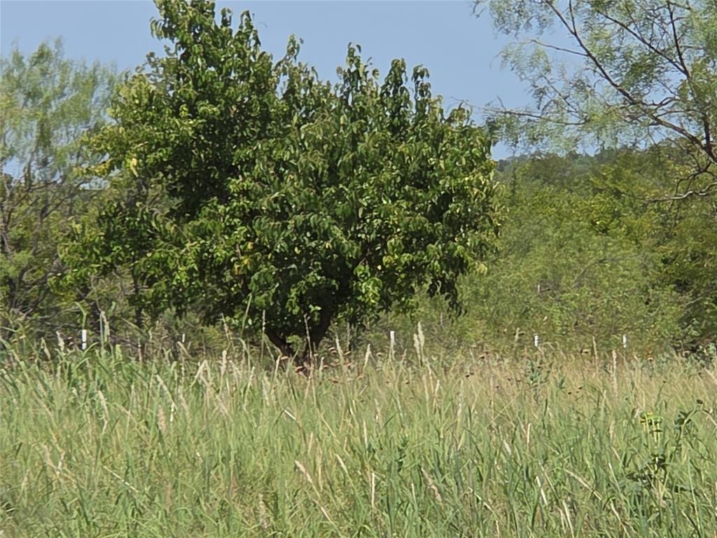 Retreat Ranchettes II - Land