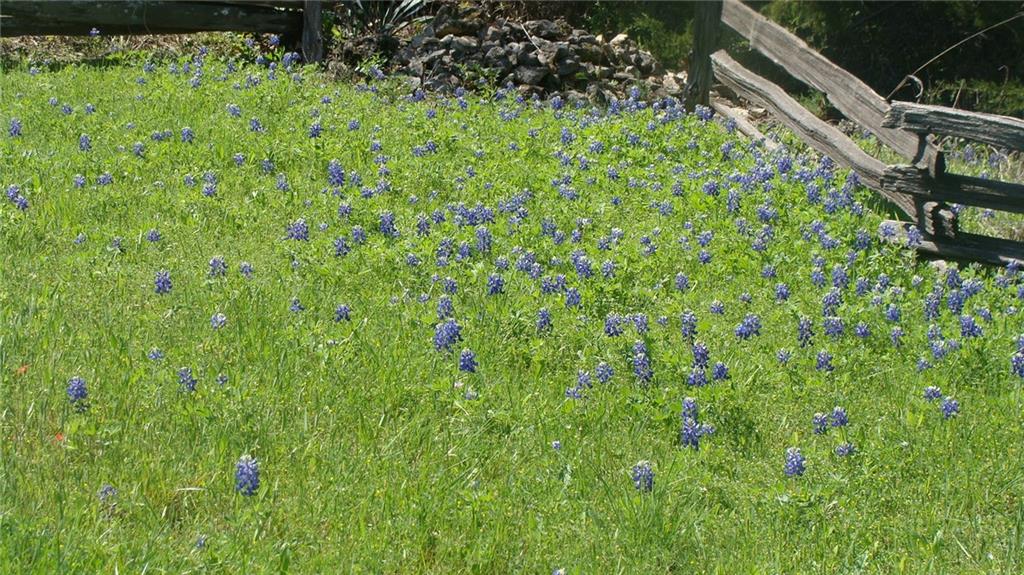 Bushee Conley - Residential