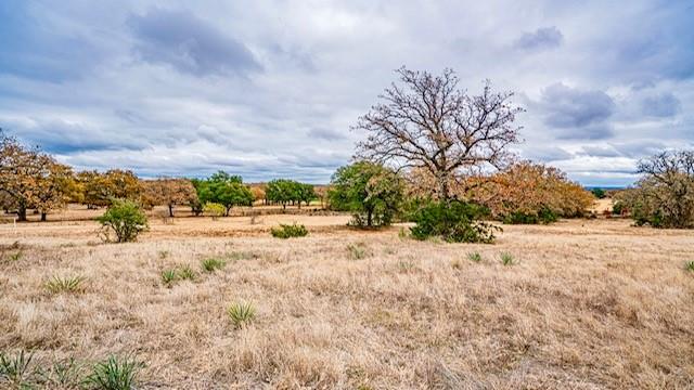 ACRES: 133 ABST: J C GRACE - ABST 190 - Farm