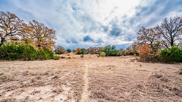 ACRES: 133 ABST: J C GRACE - ABST 190 - Farm