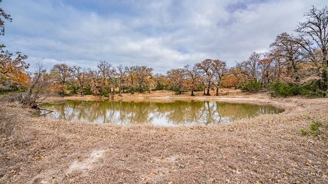 ACRES: 133 ABST: J C GRACE - ABST 190 - Farm