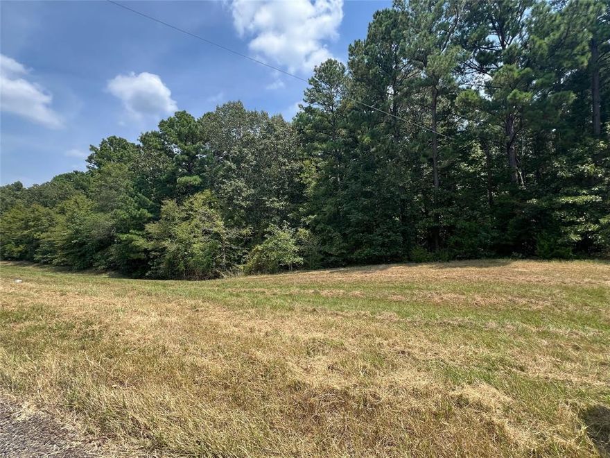 Approx 6.5 wooded acres only a short distance from Barefoot Bay and Lake Bob Sandlin! The perfect amount wooded of acreage with county water and electric available!