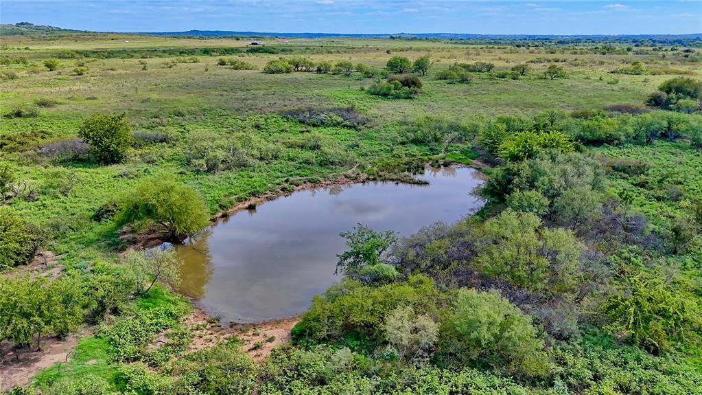 155 Acres, Blocks 11 & 12, Limestone CSL Survey, - Farm