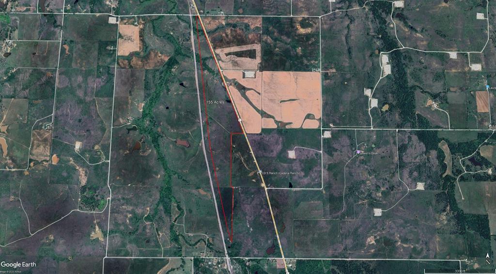 155 Acres, Blocks 11 & 12, Limestone CSL Survey, - Farm