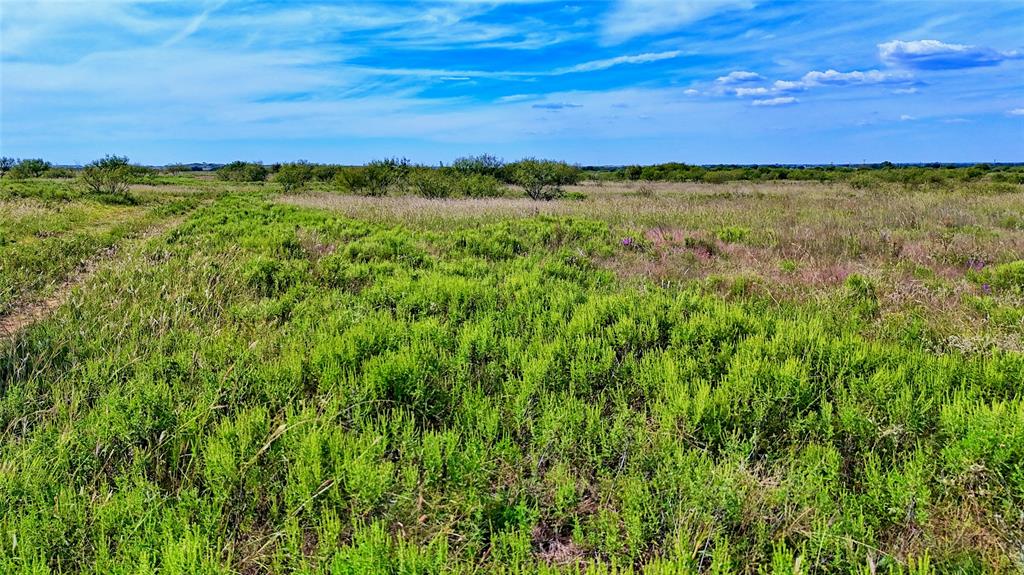 155 Acres, Blocks 11 & 12, Limestone CSL Survey, - Farm