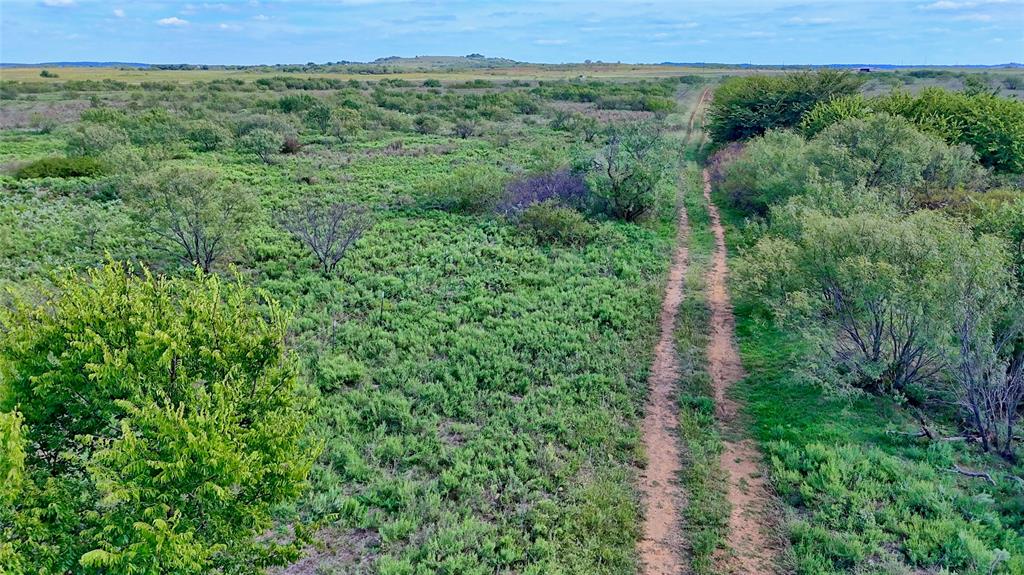 155 Acres, Blocks 11 & 12, Limestone CSL Survey, - Farm