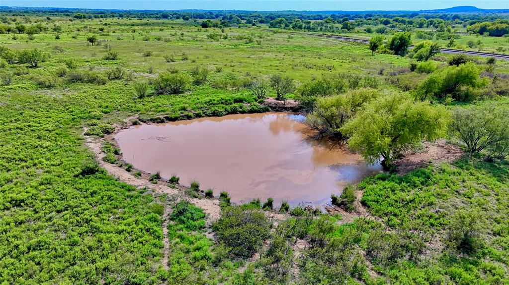 155 Acres, Blocks 11 & 12, Limestone CSL Survey, - Farm