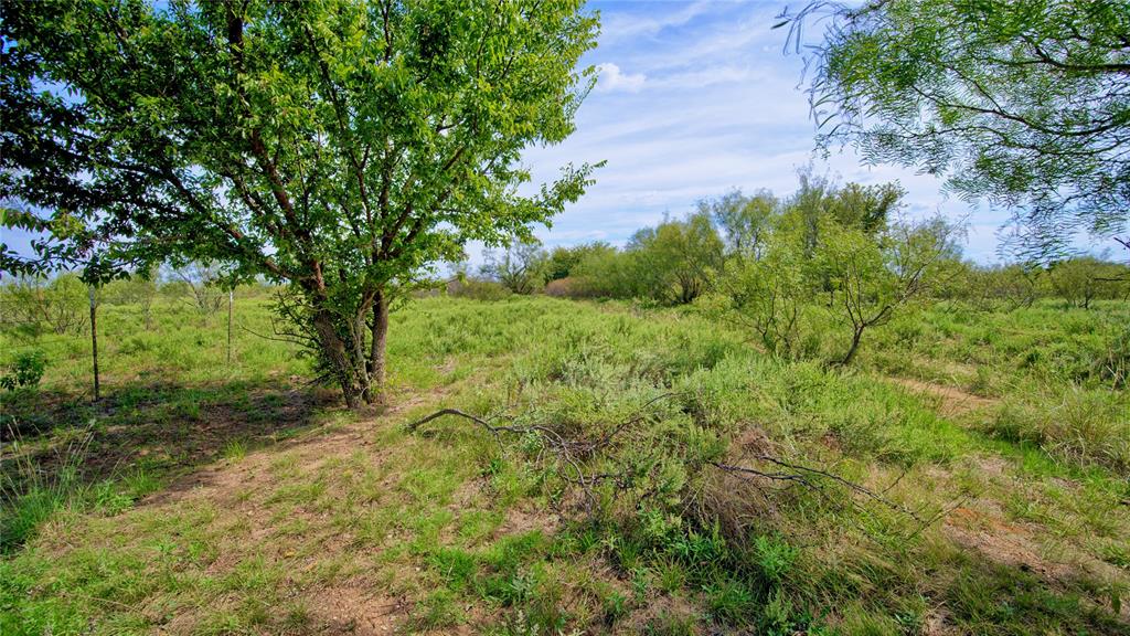 155 Acres, Blocks 11 & 12, Limestone CSL Survey, - Farm