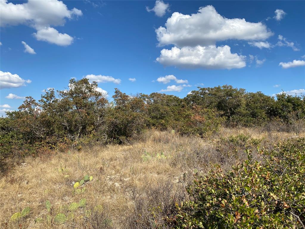 Hidden Shores - Land