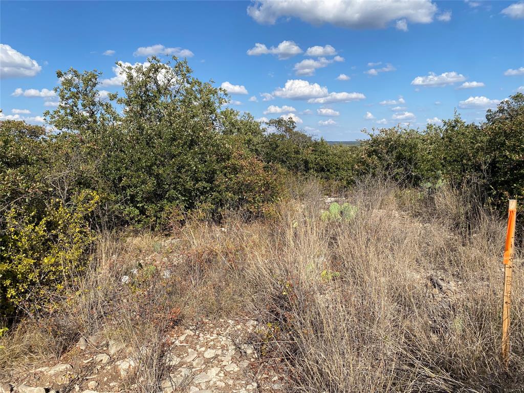 Hidden Shores - Land