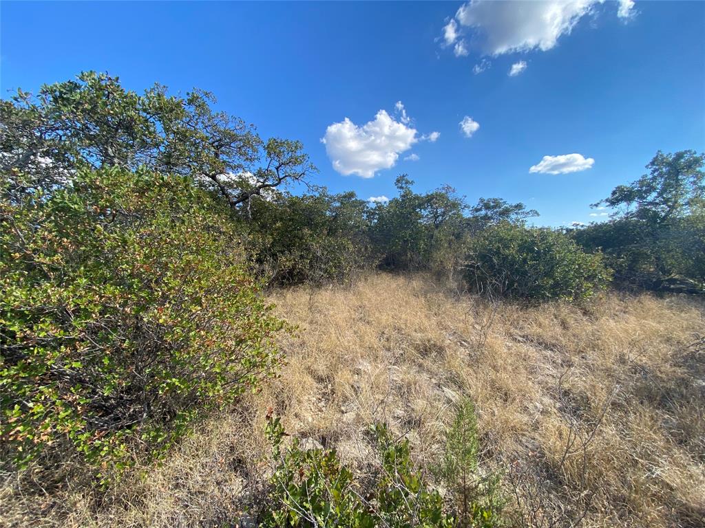 Hidden Shores - Land