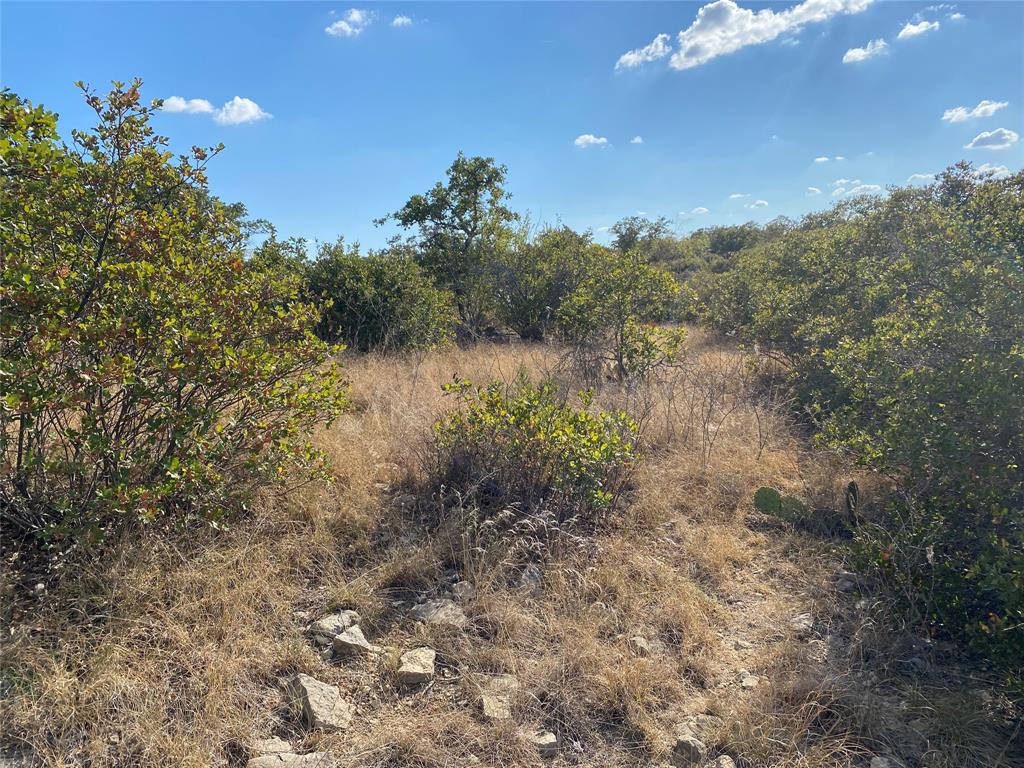 Hidden Shores - Land