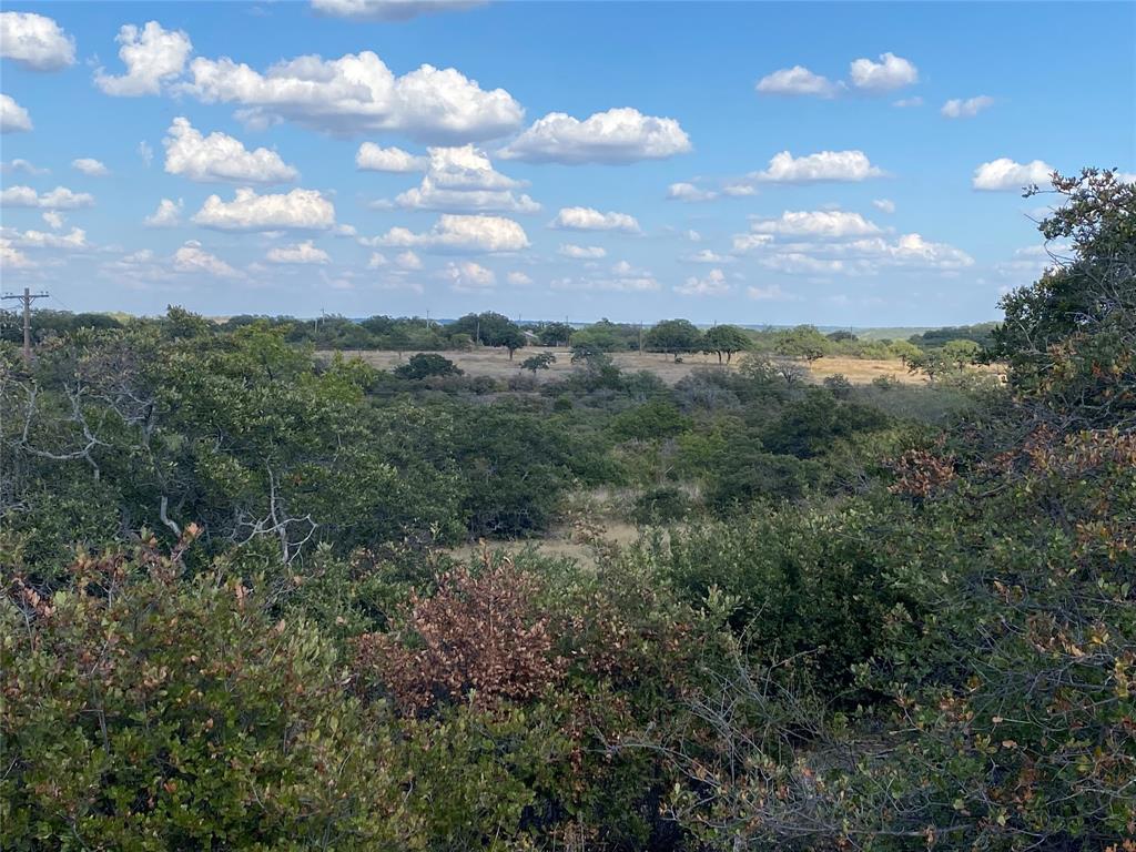 Hidden Shores - Land