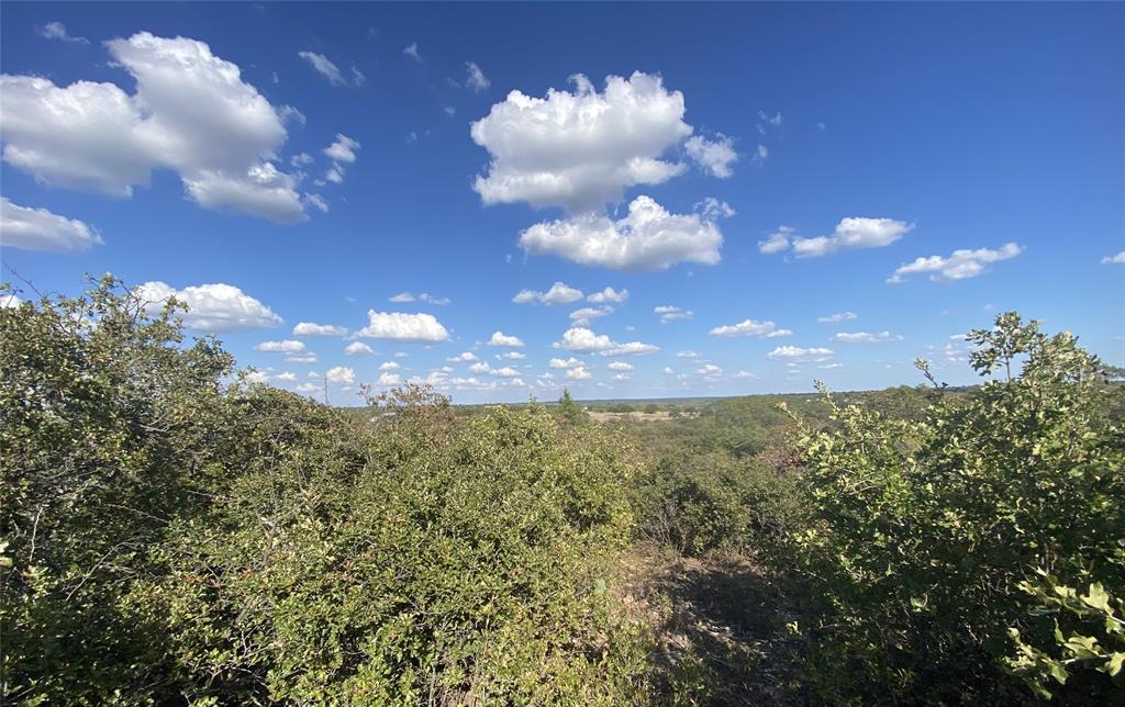 Hidden Shores - Land