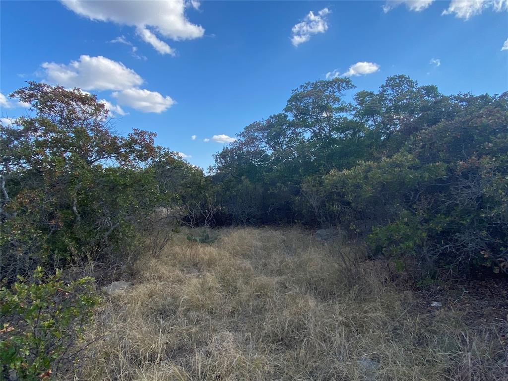 Hidden Shores - Land