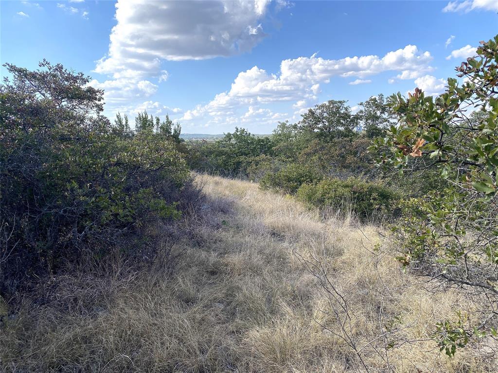 Hidden Shores - Land