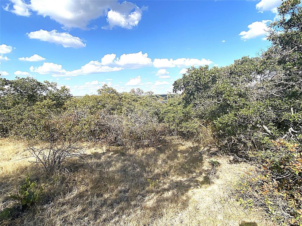 Hidden Shores - Land