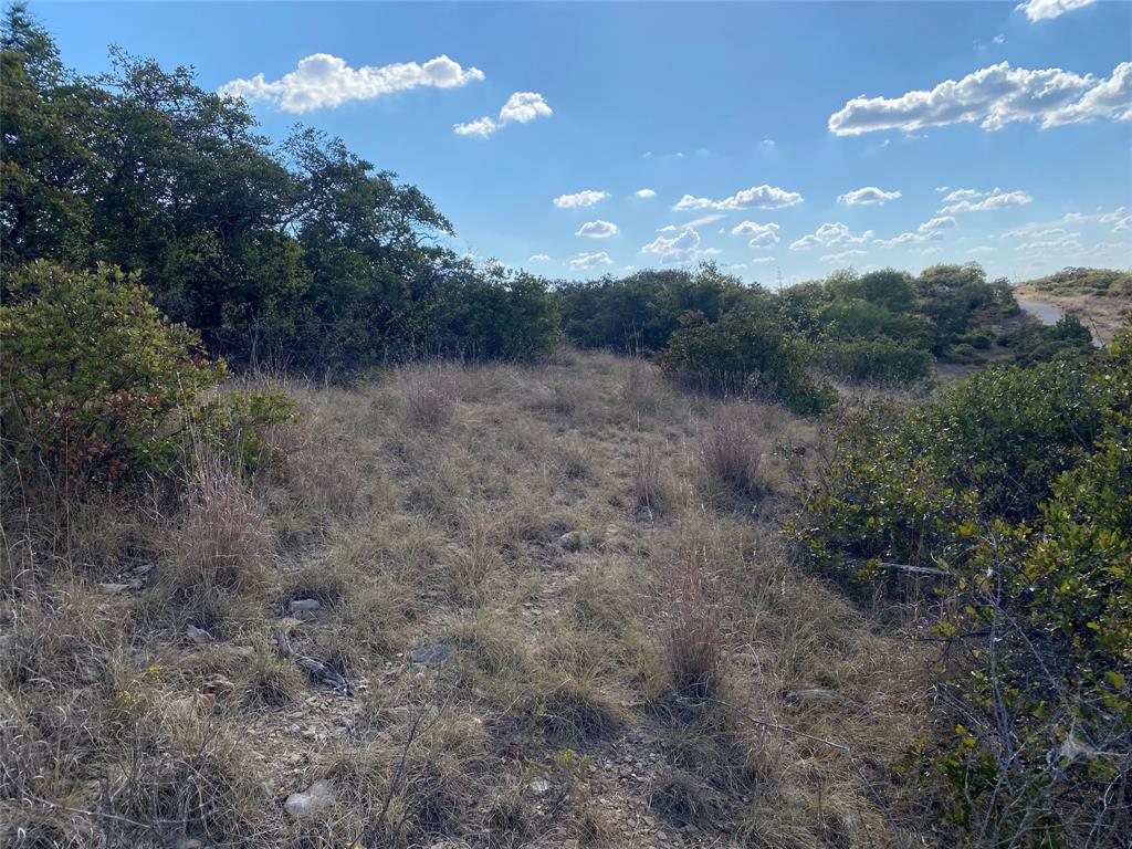 Hidden Shores - Land