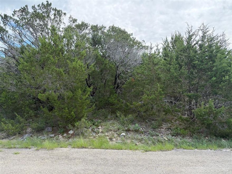 This property is filled with possibilities of a new build!  This property offers investors, builders and residential families to build the perfect home site.  This community and neighborhood offer all the amenities of a clubhouse, big swimming pool, parks, fishing dock, small pool area and basketball, tennis courts.  Granbury Lake and the town has become one of many visitors' favorite places to visit and become their new residences.  Granbury is known for its beautiful lake, tourist town square and many additional community venues. Come and visit this property to see your vision of a new home!