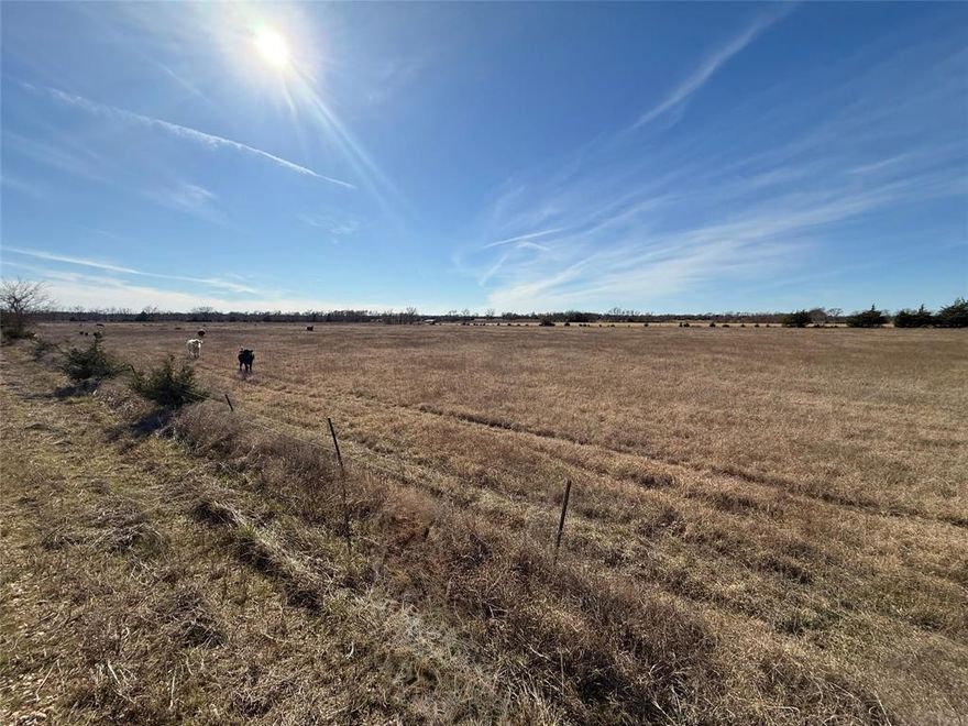 11.72 beautiful acres awaits! Build your perfect home, Barndominium, or just let your cows roam and graze. No Restrictions. WATER has already been metered.  Don't wait.