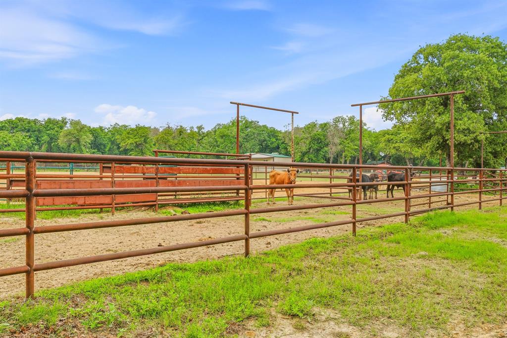 00 - Farm