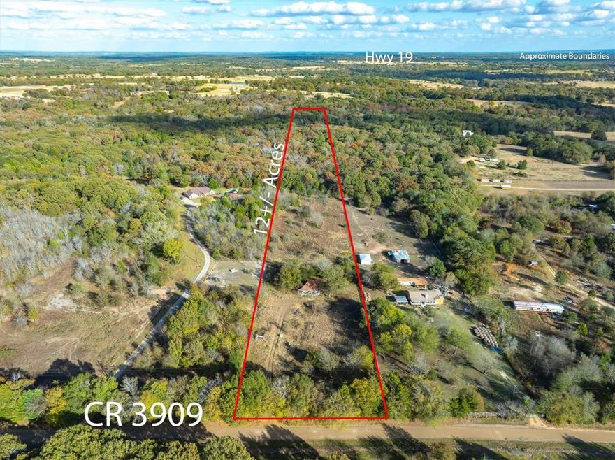 Discover the perfect blend of peaceful country living and small-town convenience with this beautiful 12 acre parcel of land! Whether you’re looking to build your dream home, establish a weekend retreat, or invest in East Texas land, this property offers endless potential. Set along a quiet rural road, the land provides wide-open skies, mature trees, and plenty of space for livestock, gardening, or recreational activities. With its gently rolling terrain and scenic surroundings, it’s an ideal setting for anyone seeking privacy and room to breathe. There is a house on the property, that could be rebuilt.  Enjoy the serenity of the countryside while staying close to everything Athens has to offer—local shops, dining, schools, and outdoor attractions like Lake Athens and the Texas Freshwater Fisheries Center.