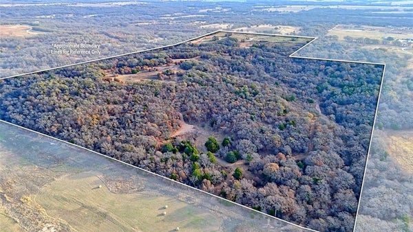169 CARMINATI RD, MONTAGUE, TX 76251 - Image bbf903e3ee803668c29d804aa9daa11a/2770232925