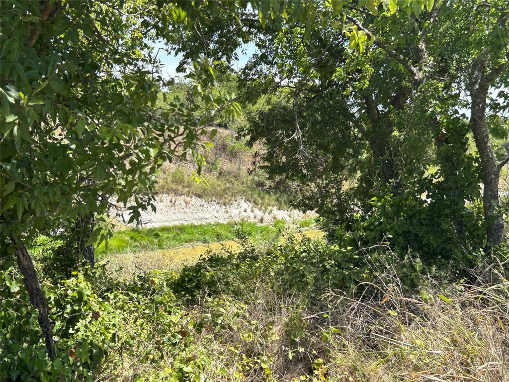 Bear Creek Ranch - Land