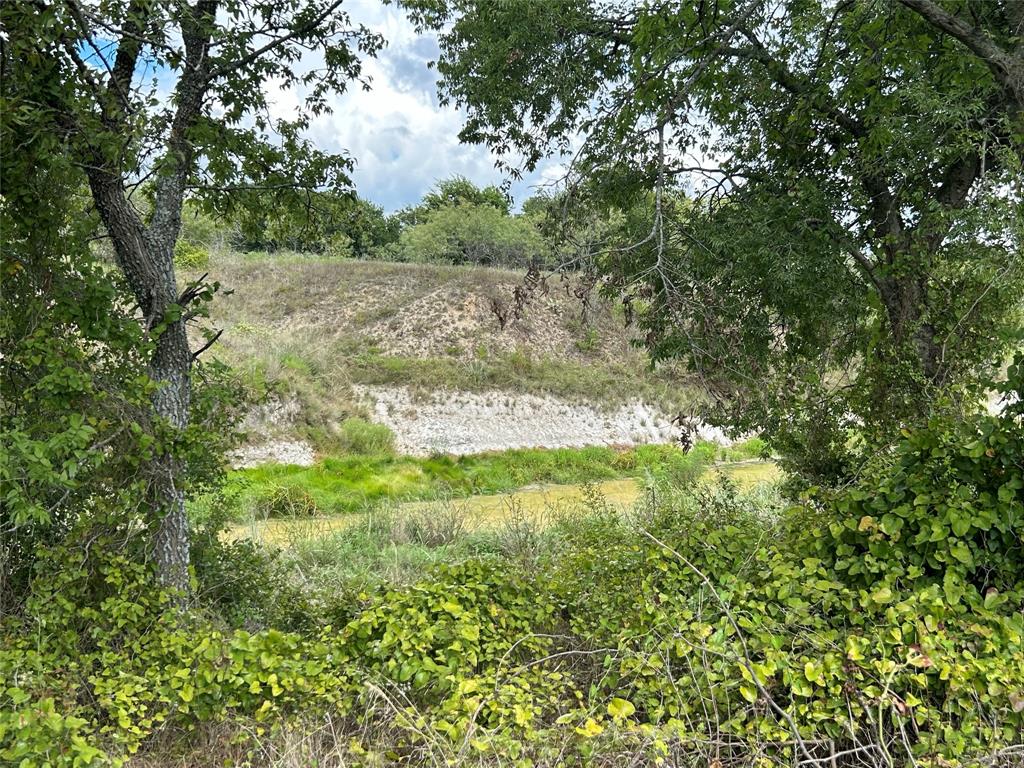 Bear Creek Ranch - Land