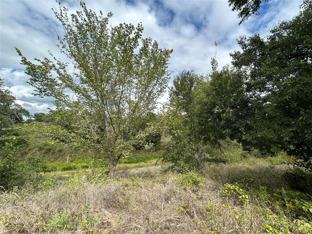 Bear Creek Ranch - Land