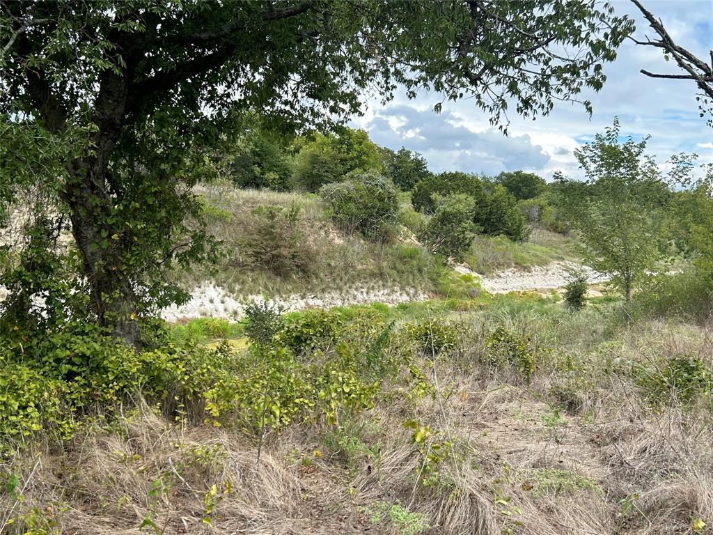 Bear Creek Ranch - Land