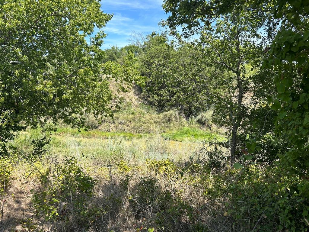 Bear Creek Ranch - Land