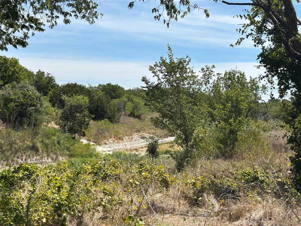 Bear Creek Ranch - Land